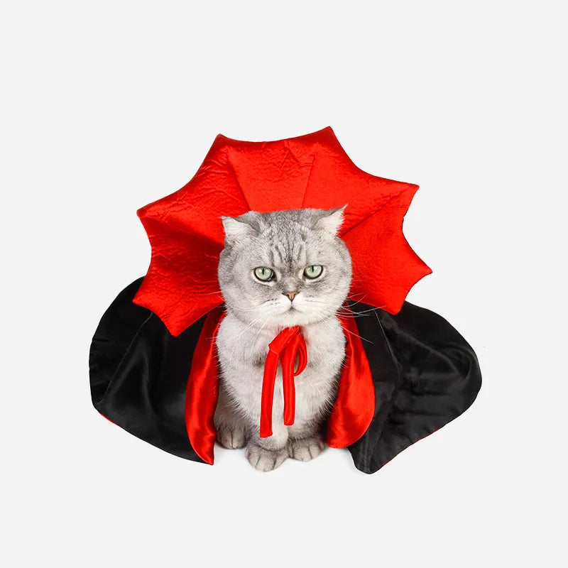 "🦇 Niedliches Halloween-Haustierkostüm: Vampirumhang für kleine Hunde & Katzen 🐾🎃 Kawaii Outfit – perfektes Geschenk 🎁👻"